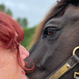 Losse sessie Paardencoaching